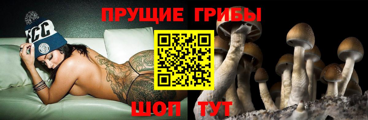 Псилоцибиновые грибы Magic Shrooms Нефтекумск